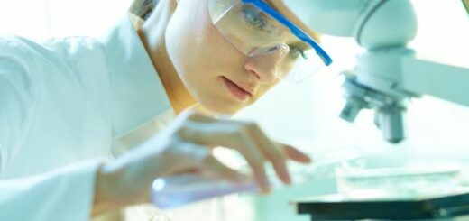 arbeitseinstieg studieren